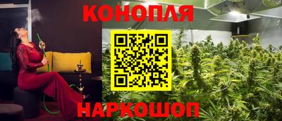 мяу мяу мука Лесосибирск
