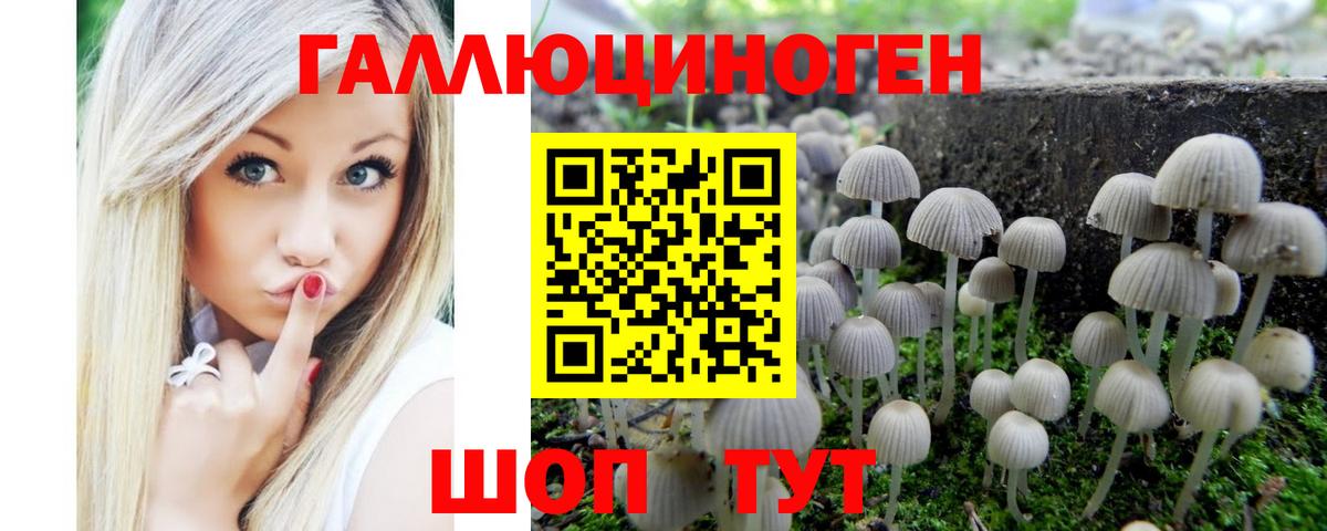 Псилоцибиновые грибы Psilocybine cubensis  Вход с VPN  Копейск 