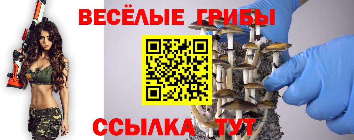 Галлюциногенные грибы Cubensis Копейск